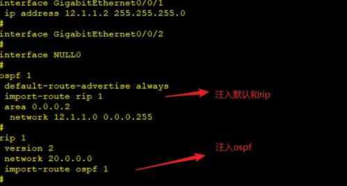 OSPF進(jìn)階篇 深入探索高級網(wǎng)絡(luò)技術(shù)