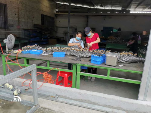 違規(guī)存放燃氣瓶成隱患，電氣機械廠被重點查處；同步聚焦交通收費設備規(guī)范問題